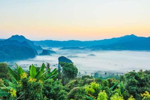 Wedding ceremony in nature - Thailand (4) - Weddo Agency
