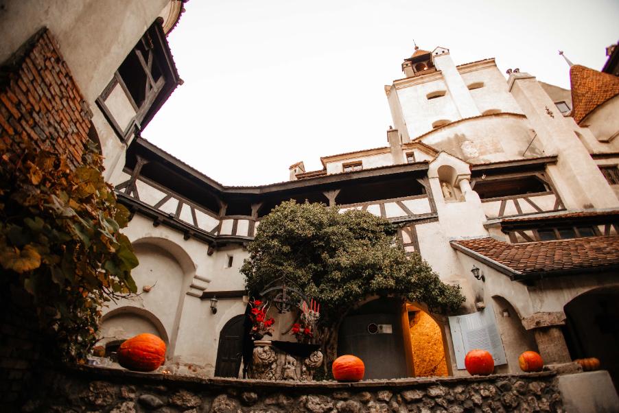 Coral and gold wedding - which locations should you take into consideration - bran