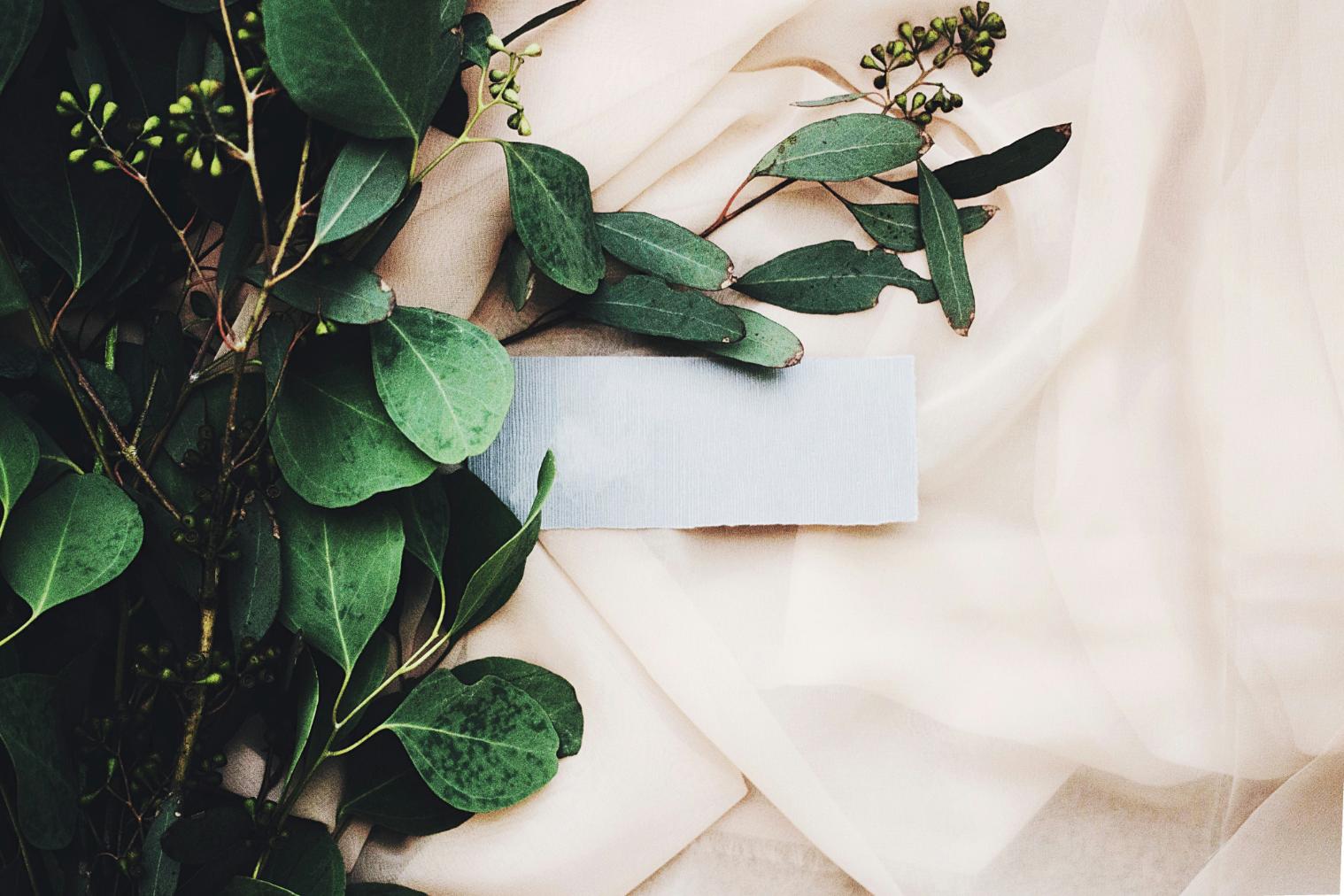 Dark green wedding theme - what does it mean