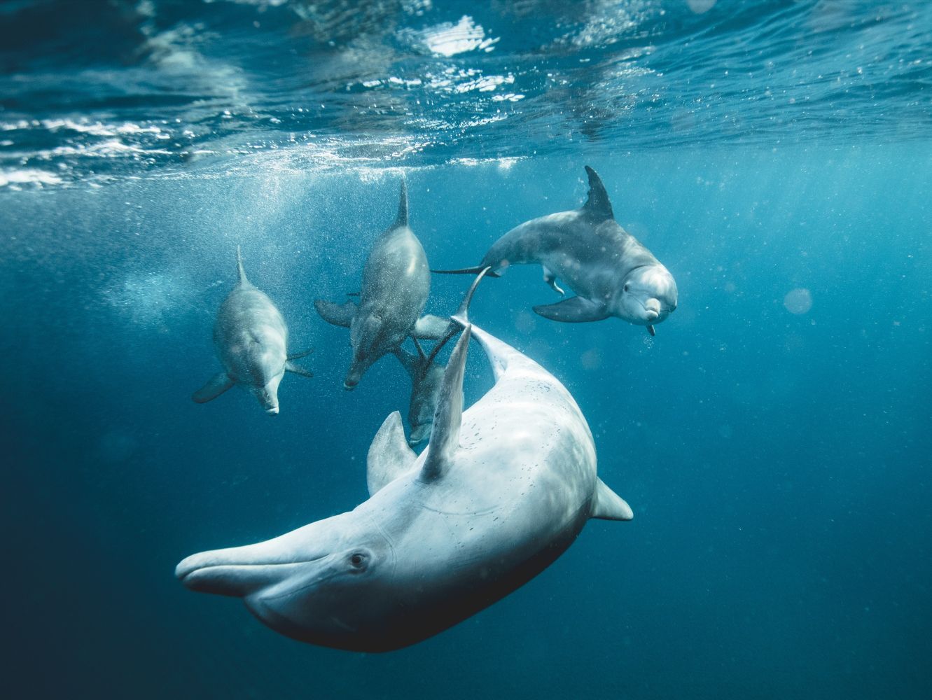 What are the best places for an under the sea themed wedding? - Weddo Agency