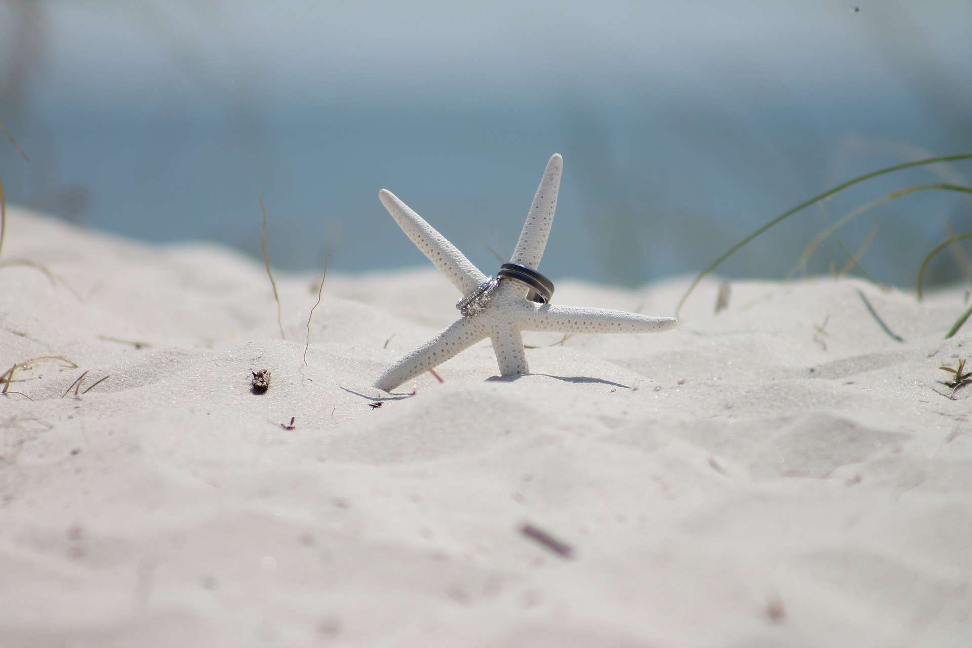 Wedding-pisces-theme-–-How-to-create-a-great-event-starfish-15