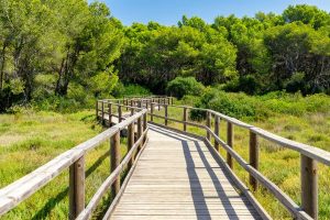 Best beaches for a charming ceremony - La Devesa beach - Weddo Agency