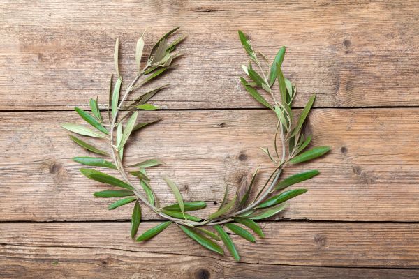 Grecian themed wedding ideas - Weddo Agency