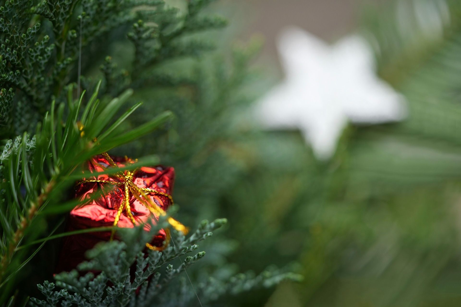Proposing-on-Christmas-day