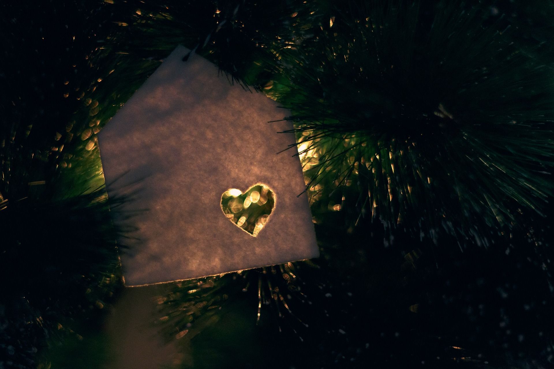 Proposing-on-Christmas-day