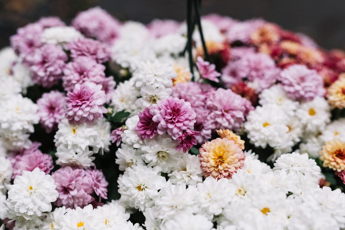Peaky-Blinders-themed-wedding-elements-that-must-be-added-to-obtain-the-perfect-event_bride-bouquet-with-colorful-Dahlias