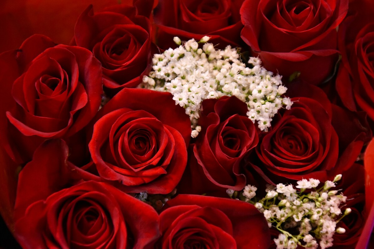 Peaky-Blinders-themed-wedding-elements-that-must-be-added-to-obtain-the-perfect-event_romantic-red-roses-bride-bouquet