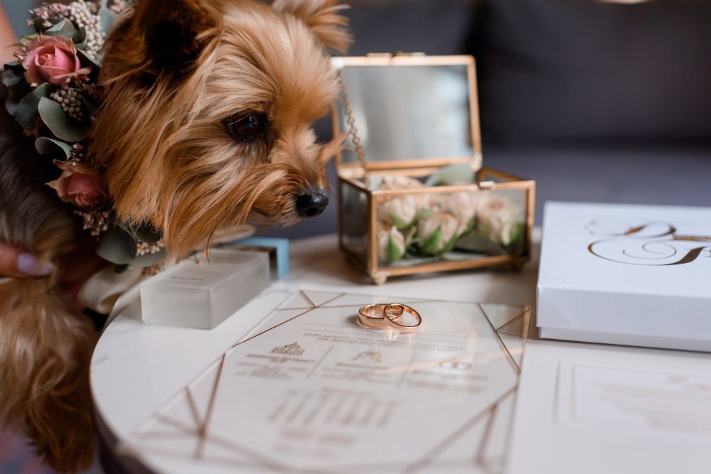 Wedding-art-deco-wedding-Art-Deco-invitation-and-a-dog.