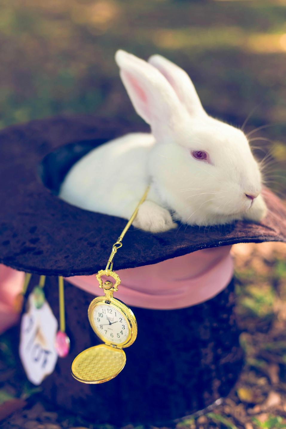 Alice in Wonderland wedding theme - decor, centerpieces & flowers ideas (2)