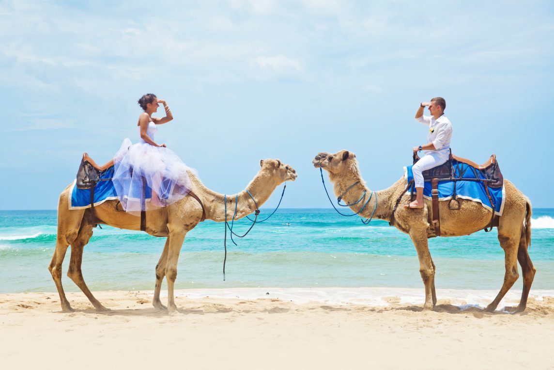 Wedding venue Dubai - Weddo Agency