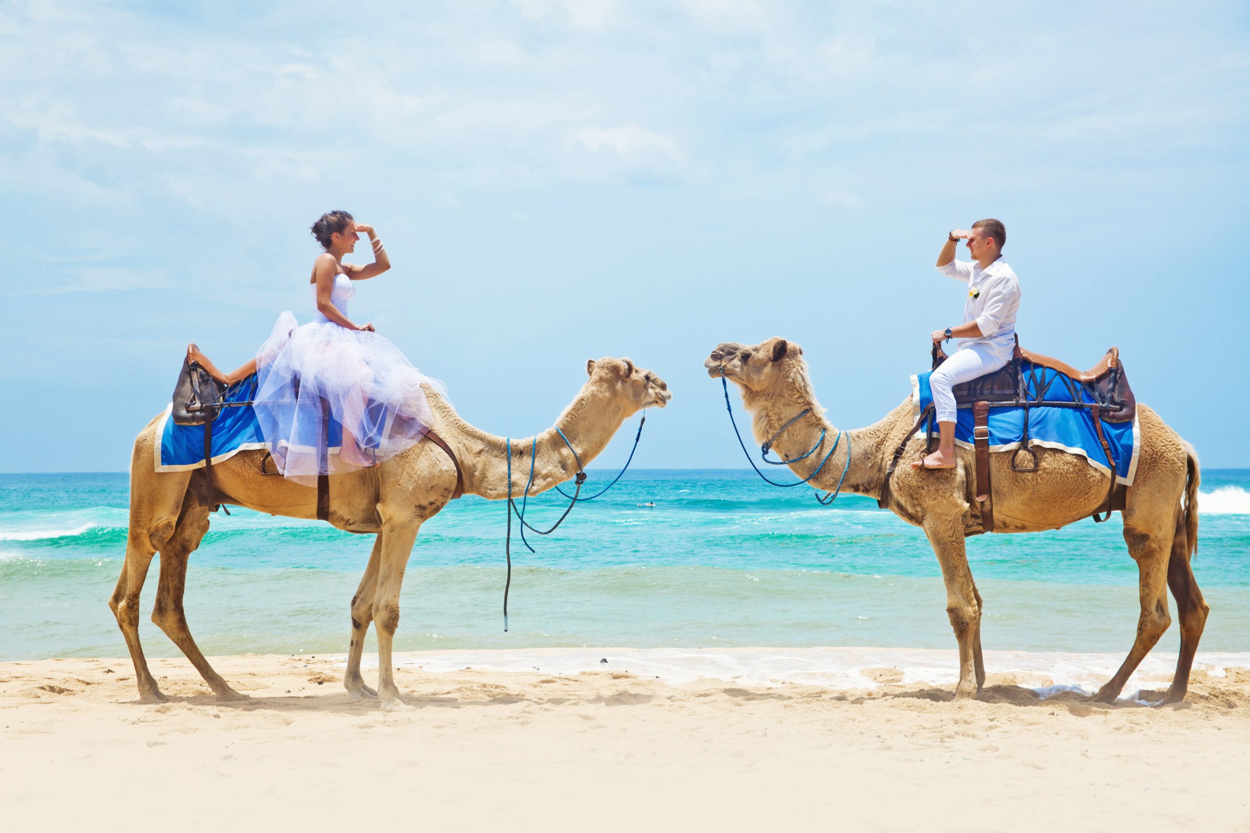 Wedding venue Dubai - Weddo Agency