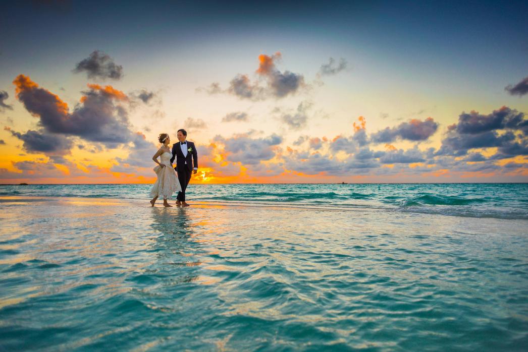 Under the Sea themed wedding - tips & tricks on how to organize the best underwater themed ceremony